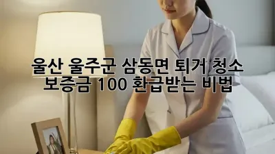 울산 울주군 삼동면 퇴거 청소: 보증금 100% 환급받는 비법!