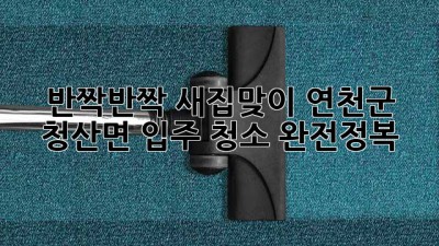 ✨ 반짝반짝 새집맞이! 연천군 청산면 입주 청소 완전정복 🏡