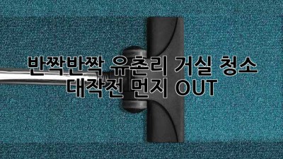 반짝반짝✨ 유촌리 거실 청소 대작전! 먼지 OUT! 🏡